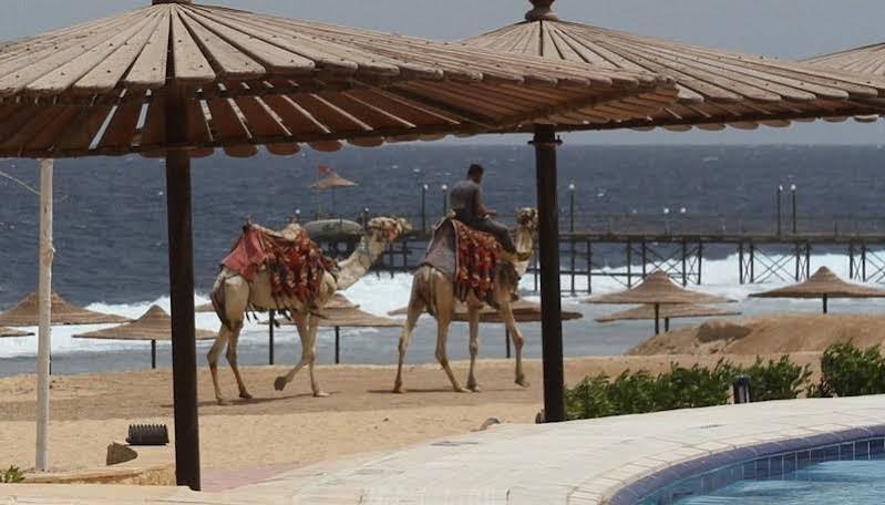 Life Resort Coral Hills El Qoseir المظهر الخارجي الصورة